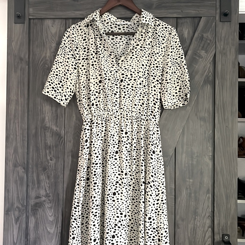 BB Dakota midi collared dress
